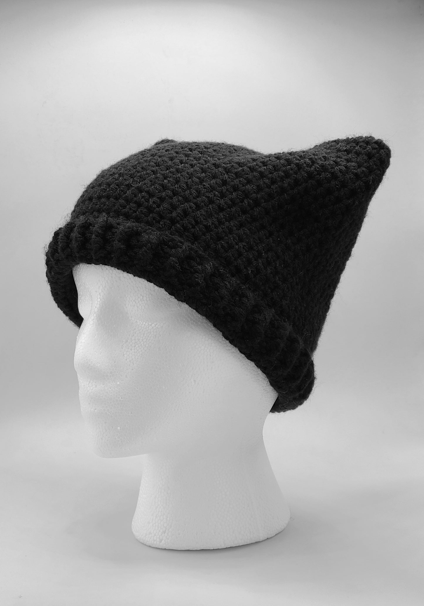 Cat ears beanie