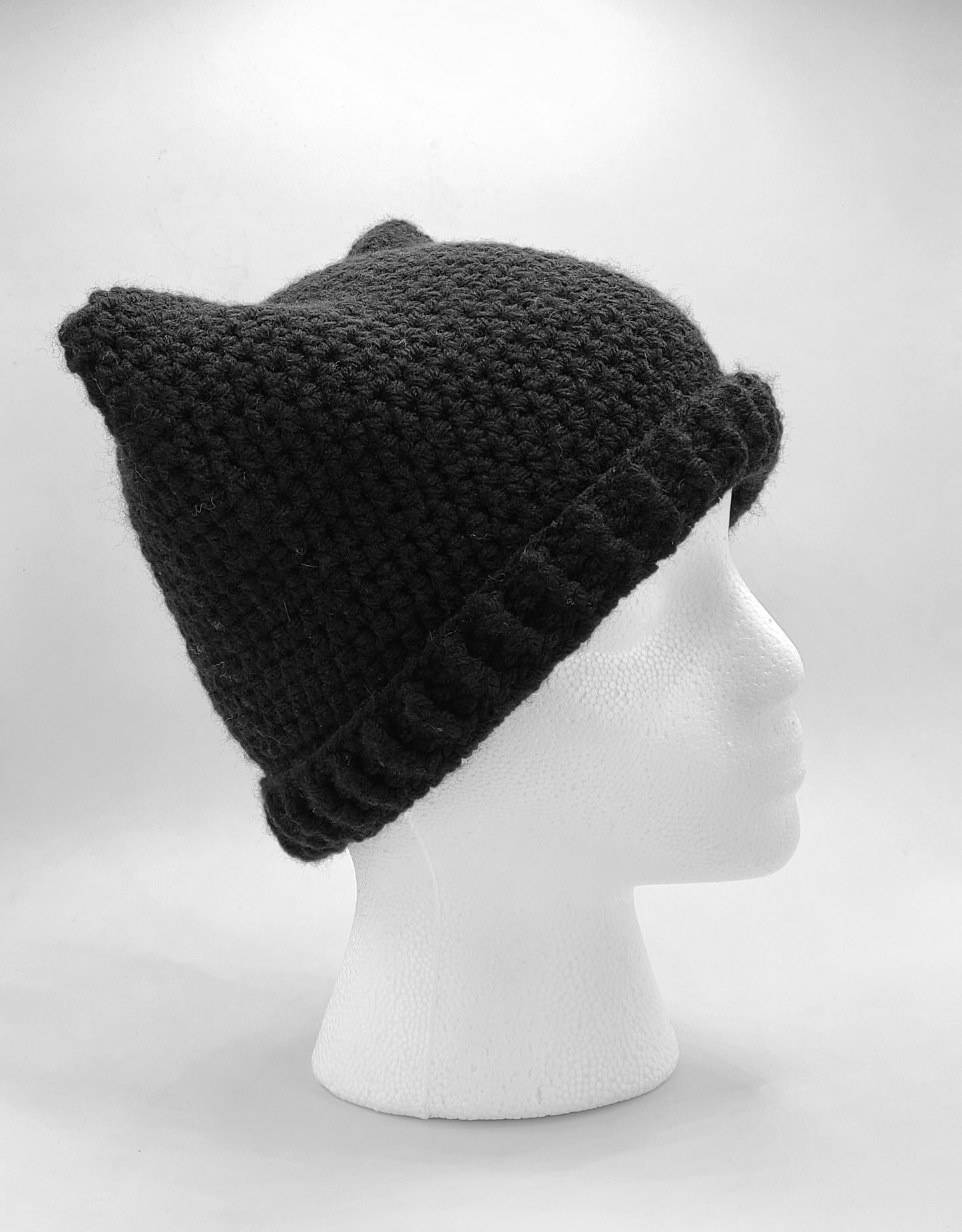 Cat ears beanie