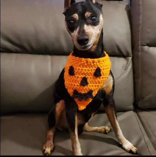 Dog pumpkin bandana