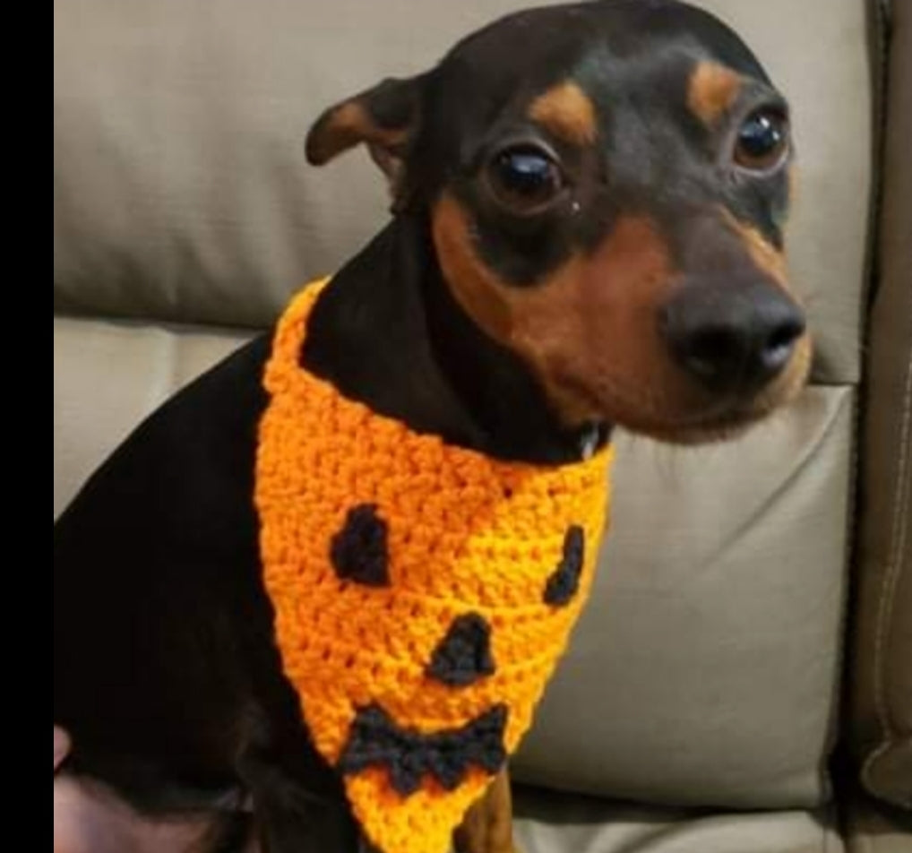 Dog pumpkin bandana